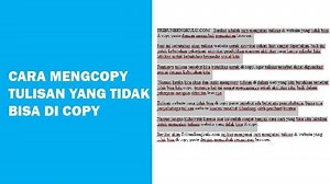 Cara Copy Paste Tulisan di Website Yang Dikunci Dengan Menambahkan Ekstensi Absolute Enable - Tribunbengkulu.com