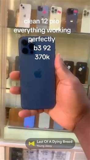 iPhone 12 Pro Review: Everything Works Perfectly