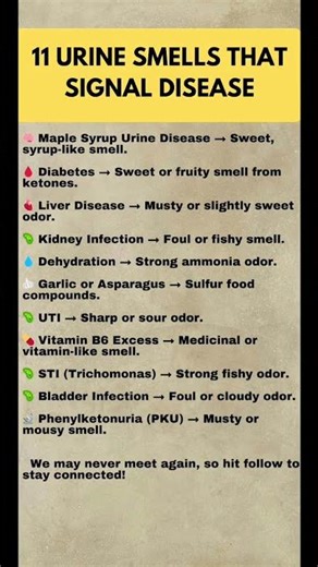 11 Urine Odors You Should Never Ignore (Potential Health Warning Signs) #mistspray #antibacterial