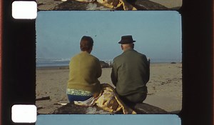 Beached Whale Blow-Up: Commemorating the 50th Anniversary of the Florence Exploding Whale