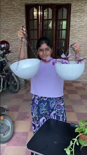 Green Peperomia 🌿 | Easy Indoor Plant for Beginners!