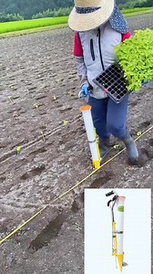 651K views · 3.4K reactions | Hand planter na ginagamit pang lipat tanim tulad talong kamatis sili başta başa seedling tray #japan #agriculture #farming #farmtool | Yamamoto Farmer | Facebook