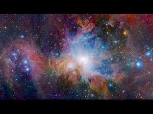 Everyone Dies: a short film about the inevitability of death.