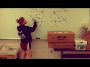 Analyzing Glass Fractures