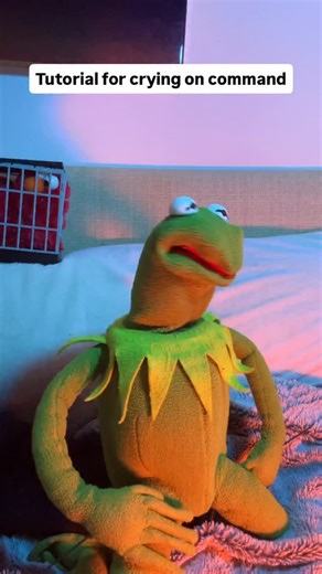 Crashout Kermy on Instagram: "This my first tutorial on how to cry on command #crashoutkermy #acting #acting101 #trending #unhinged #darkhumor #instacomedy #comedyreels #tiktok #puppetcomedy #puppets #kermitmemes"