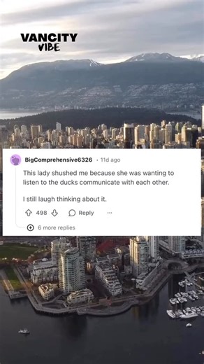 Vancity Vibe on Instagram: "What’s the most Vancouver thing you’ve ever seen? 👀 Credit: u/Spiritualclub895 — original Reddit post. #Vancouver #VancouverLife #OnlyInVancouver #VanCity #VancouverHumour #VancouverCommunity #VanCulture #BCLife #WestCoastLife #CanadaLife #RelatableContent #VancouverReels #YVR"