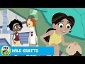 WILD KRATTS | Teaching Jimmy to Swim | PBS KIDS