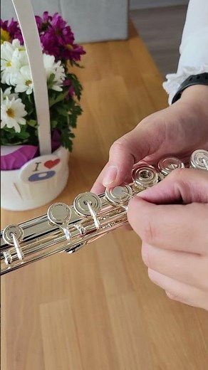 Plug removal for Miyazawa, Burkart, and Brannen flutes