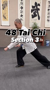 48 Tai Chi -this is a fun section to practice🙏😁 14. White Snake Spits Tongue自蛇吐信 15. Slap Foot and Hit the Tiger拍脚伏虎 16. Turn Body and Strike (Left)左撇身捶 17. Thread Fist and Creeps Down穿拳下勢 18. Stand on One Leg and Stretch Palms獨立撐掌 ✅Learning with Master Jian Feng Chen Belgium seminar August 9-10 2025（Full) Seattle seminar September 6 2025 Granby USA seminar this fall TBA waiting list is open ✅More information and Online learning on daouniverse.com #jianfengchentaichi #taichi #taiji #taijiquan 