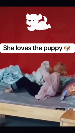 Little doggos make her happy. 😊 #xiaoxiao #chenxiaoxiao #puppytiktok #dogsoftiktok #doglover