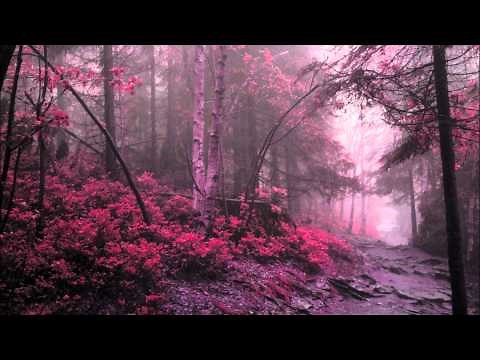 Richard Wagner -Rienzi- Overture