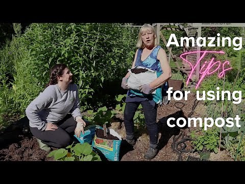 How to Add Compost to Your Garden in 3 Different Ways