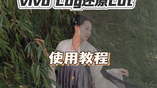 Vivo Log还原LUT使用教程，含达芬奇，剪映，PR