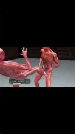 “Why Testicular Pain Hits Hard… But a Bit Late! ⚡🍑 | Shocking Body Reflex”