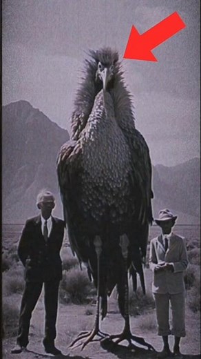 Top 5 TERRIFYING Extinct Dinosaur Sounds! 😱