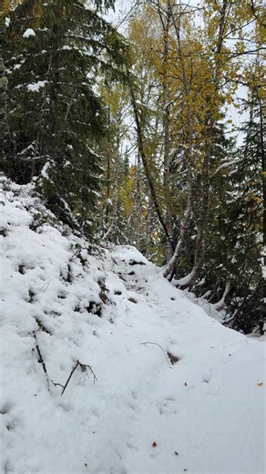 ❄️ Chamonix : l’automne a glissé, les bouquetins ont pris l’hiver ! 😅 | Discover the world