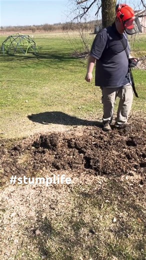 #stumpgrinding #stumping #diy #smallbusiness