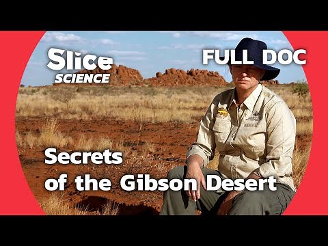 Exploring the Gibson Desert: Bush Blitz Expedition | SLICE SCIENCE | FULL DOC