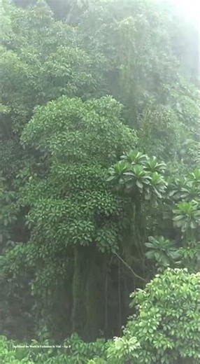 Episode 8: “Why There’s Almost No Record of Their Culture” #darkhistory #hiddenhistory