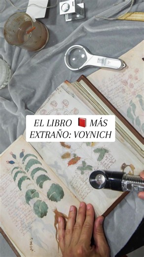 Descifra El Misterioso Manuscrito Voynich 📖