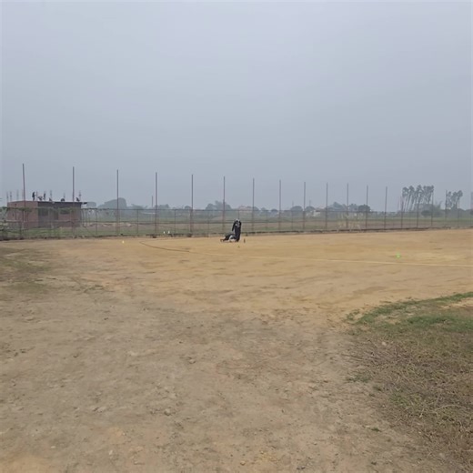 lionturtlecricket (@lionturtlecricket)’s videos with original sound - Make Muscles