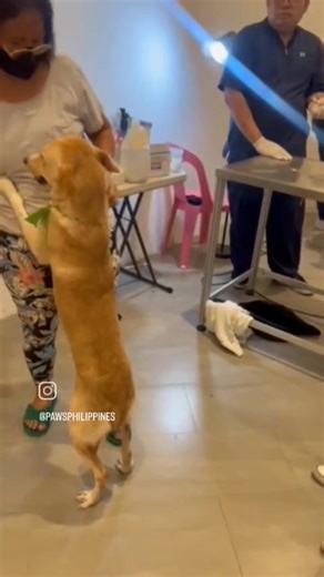 25M views · 811K reactions | Yakap, mommy! 梁 This big boy turns into...