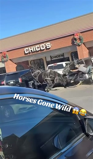 Horses Gone Wild: The Unbelievable Moments!