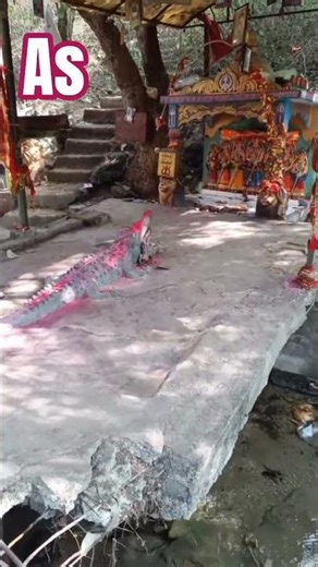 hadappa Raja Khodiyar maa Ne pragatiya any Darshan DJ phool na khaya to mitron ko mat karvana bhulta