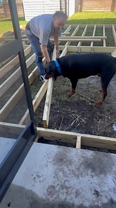Dog ws sick of laying around the house and wanted to lay some lumber to help build the deck! 😍😍#Animals #Dogs | Animalistic