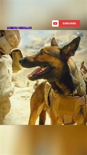 Résumé du film par Domou Abdallah