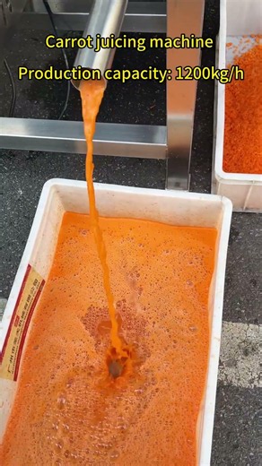 Carrot juicing machine Industrial juicing machines Fruit and vegetable juicing machine