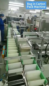 Automated Dry Product Packaging：Bag in Carton Pack Machine #materialhandling #packagingline