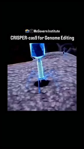World of Biology on Instagram: "CRISPER-Cas9 Genome editing Amazing animation - McGovern Institute Link to original video  https://youtu.be/2pp17E4E-O8?si=zeP3hm0-Q6AVD6si #crisper #cas9 #genomeediting"