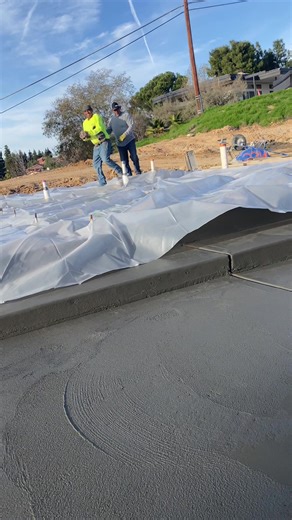 Introducing the LIVE Incentive Program for Fans