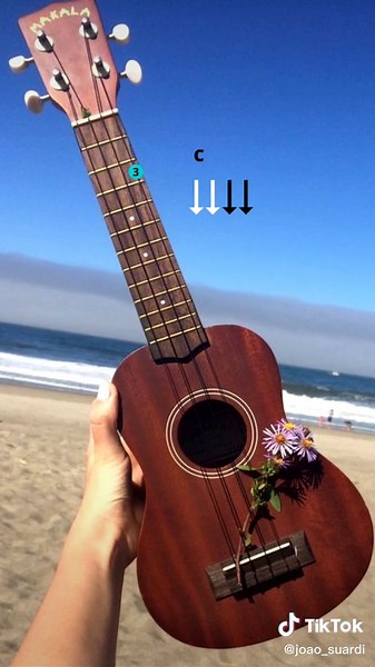 Joao_suardi no TikTok