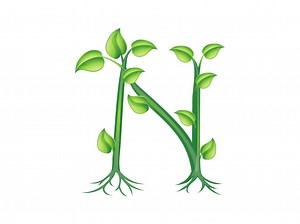 Plant Alphabet Clipart, Botanical Alphabet Vector Png Svg Eps Ai, Floral Font, Tree Letter, Green Leaves ABC, Alphabet Separate Letter - Etsy