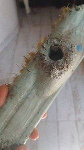 19K views · 189 reactions | Arrancamos! FELIZ DIA MAMISSSS ❤️❤️ jajaja .Mates, mimos y un cepillo menos 藍殺 | Lo De Silvana | Facebook