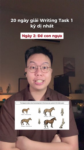 Series 20 ngày giải đề Writing Task 1 kỳ dị nhất Ngày 2: Sự tiến hoá của loài ngựa 🐴 #Ieltscungdaniel #ieltswriting #ielts