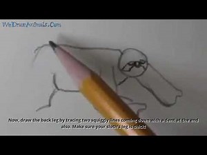 How to Draw a Sloth In 8 EASY Steps - GREAT for Kids & Beginners