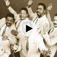 Slim & the Supreme Angels | Lyrics, Song Meanings & Music Videos