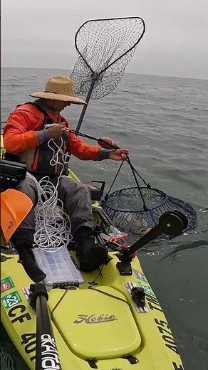 Kayak crabbing for Dungeness crab in Bodega Bay