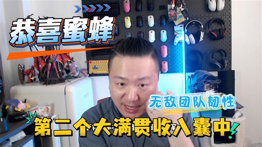 【FF闲聊】IEM里约最终日蜜蜂称王的秘诀
