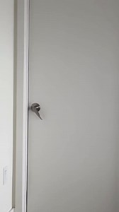 Can you guess what she was thinking? I nodded in approval! Pics on my profile! *See more of the photos I took on my tree telegram at https://t.me/zabupictures #photoshoot #modeling #portraits #photography | Web Models