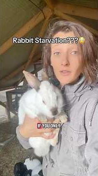 People always say if you eat too much rabbit you’ll STARVE… but that’s not actually true for