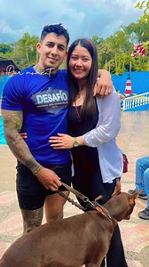 Desafío Animal Box Invencibles 2025: El Reto Definitivo