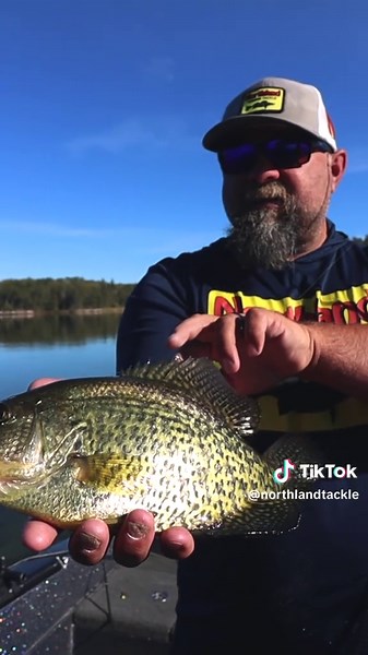 Fall Crappies, to wintertime Panfish & Perch — check out the NEW! Twitchin’ Puppet! The SNEEZE color has been lights out! 👊🔨🔥🎣 #TeamNorthlandTackle The bite-sized assassin of the glide bait family — the Twitchin’ Puppet features a lifelike “glass” finish that looks like a translucent baitfish. Its over-molded resin body & tail give it its durability and unique gliding action! Available in 2 sizes & 10 colors! 👀🙌
