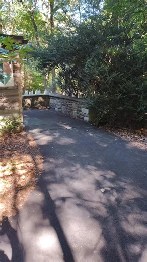 155 reactions · 9 comments | We are excited to announce that the Griscom Bird Observatory is now OPEN every day from 10 am-4 pm. It's a beautiful day for a bird walk! | Briar Bush Nature Center | Facebook