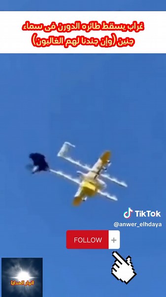 جند الله في أرضه #غراب #يوقع #طايرة #فلسطين #عربية #صلى_الله_عليه_وسلم