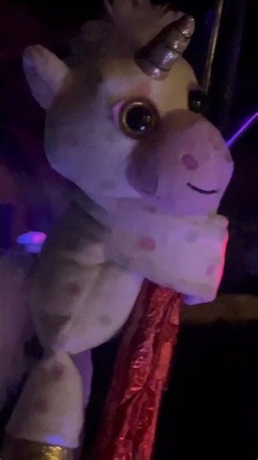 Grateful Shred Dead They Love Each Other Many Cams Tease Felton 1/30/26 #gratefuldead #ikoiko