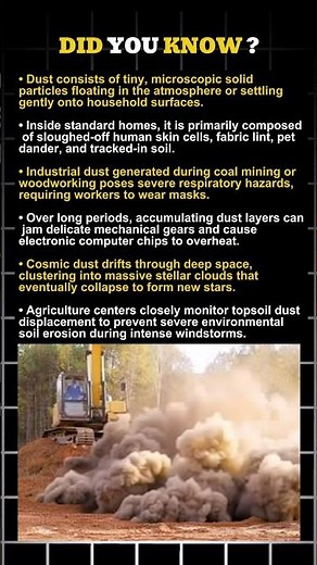 Why Your Home Dust Is Actually Dead Skin (And Other Dusty Facts) 😲 | House & Desert Dust Explained